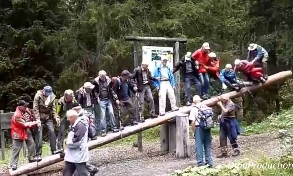 Elderly People Balancing On A Trunk Goes Wrong