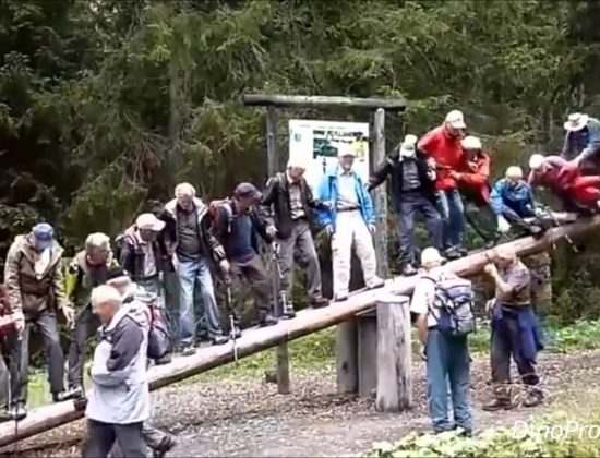 Elderly People Balancing On A Trunk Goes Wrong
